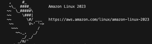 SSH接続成功後のターミナル画面